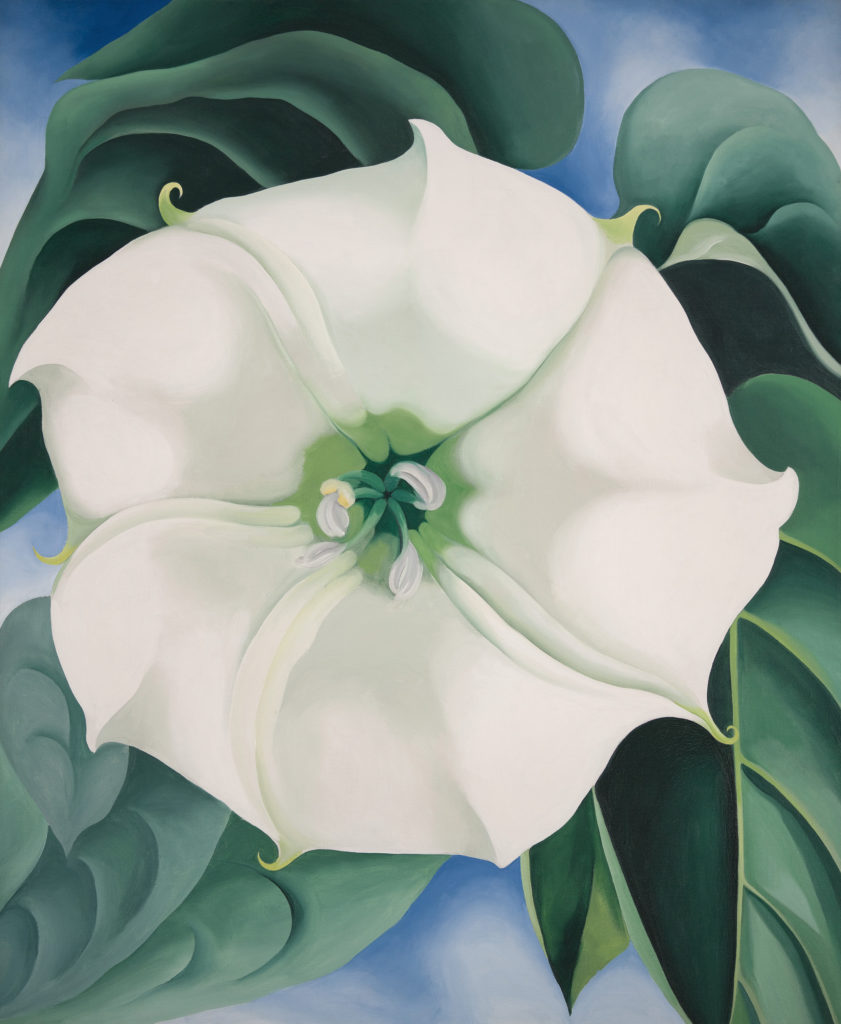 2014.35 Georgia O'Keeffe Jimson Weed/White Flower No. 1, 1932 Oil on canvas 48 × 40 in. (121.9 × 101.6 cm) Framed: 53 in. × 44 3/4 in. × 2 1/2 in.