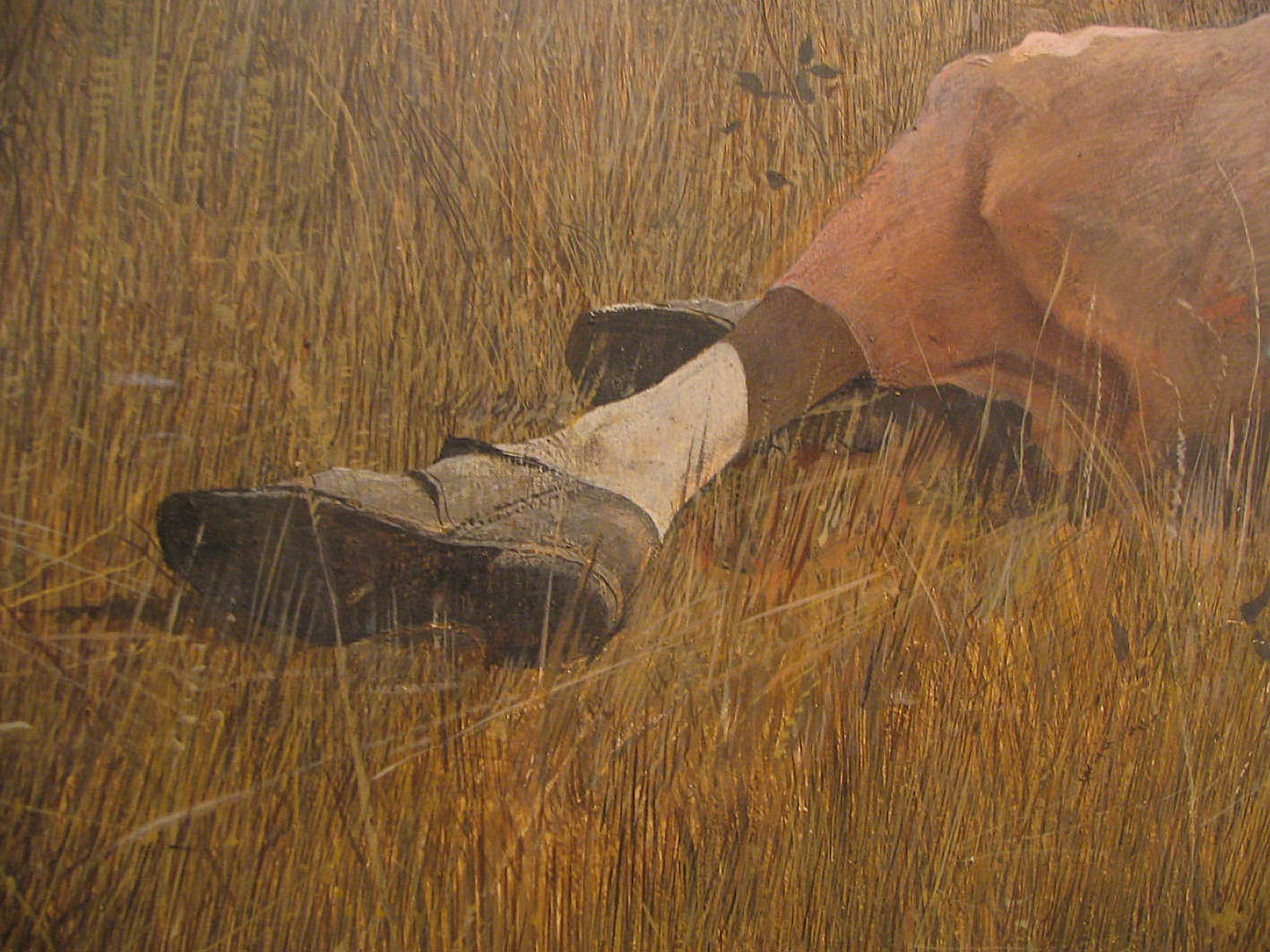 Andrew Wyeth, "Świat Krystyny", detal,1948